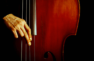 All night’s Jazz