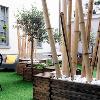 GARDEN view 3