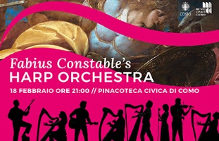Fabius Constable's Harp Orchestra in concerto