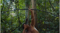 6_THELASTFOREST