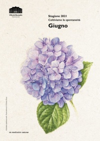VG_giugno_21_A3-1-423x600