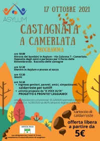 asylum-castagnata-camerlata-pdf