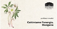 coltiviamo l'energia
