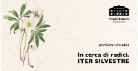 iter silvestre