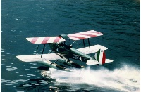 Caproni in flottaggio
