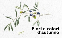 Fiori-e-colori-dautunno