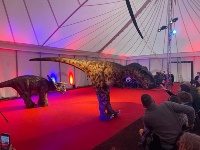 dinosauri
