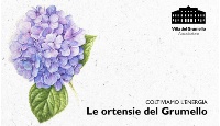 ortensie del grumello