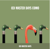 ide master day