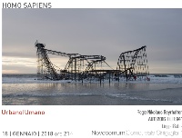 homo sapiens