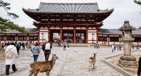 nara