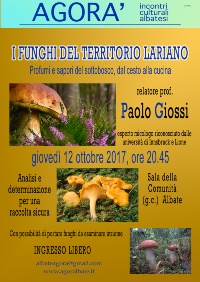 LOCANDINA-FUNGHI-X-web