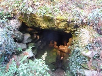 fonte mojenca