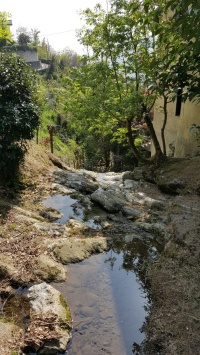 torrente valduce