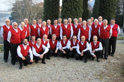 Nigritella_2013