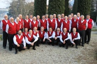 Nigritella_2013