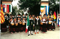 bej di erba