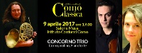 concorno trio