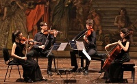 quartetto daidalos 