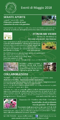 programma maggio 18