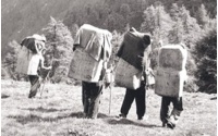 contrabbandieri
