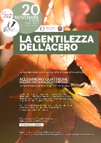 la gentilezza dell'acero