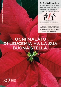 stelle ail