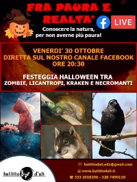 Locandina conferenze mostri 2020