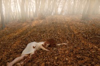 Brassesco e Lazlo_Wandering Souls