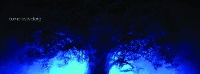 albero-1240x460