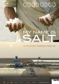 my-name-is-salt