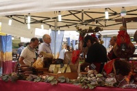 paesi e sapori