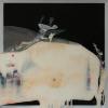 Adrián Espinós Ferrero_Mars Polar Lander_2015_tecnica mista su plexiglas_cm 90x90