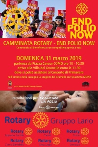 locandina end polio now