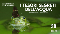 tesori segreti acqua