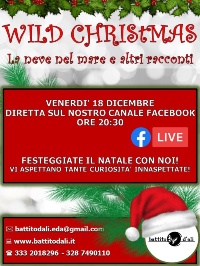 wild crhistmas