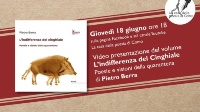 indifferenza del cinghiale