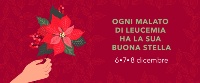 sitoweb_1200x500_1