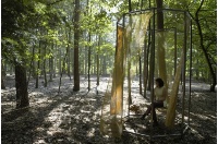 tn754_02. Sound Forest Folly X WEB 1