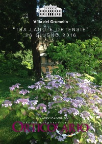tra lago e ortensie-locandina