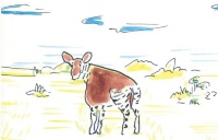 okapi