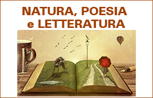 Tour virtuali e letture