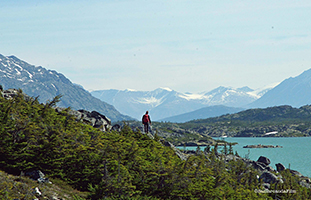 Sogni di grande nord 