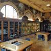 Museo Scienze Casartelli