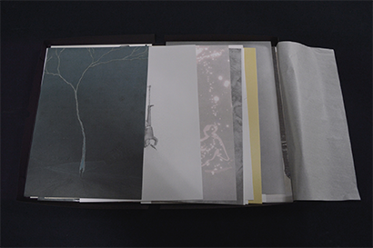 Drawings from Lightning - In-conversation event 