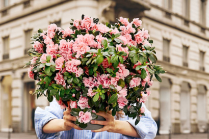 L'azalea della ricerca