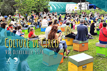 Colture di circo