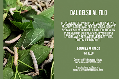 Dal gelso al filo 