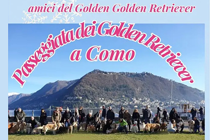 Natale 2023 con i Golden Retriever