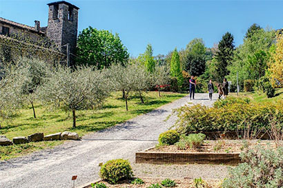 Gli orti delle meraviglie